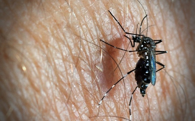 Dengue cases in Kedah up 133.3 pct