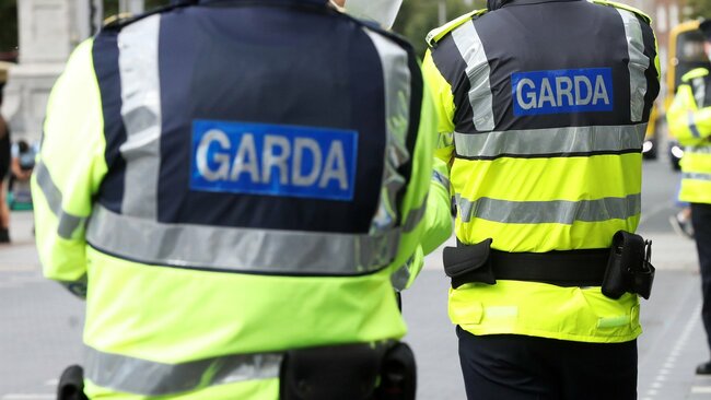 TDs call for creation of dedicated garda transport unit