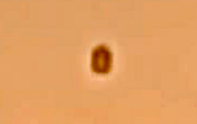 Dark Ring UFO Over Seaford England, Shoots Away When Filmed, 9-24-2022, UFO Sighting News.