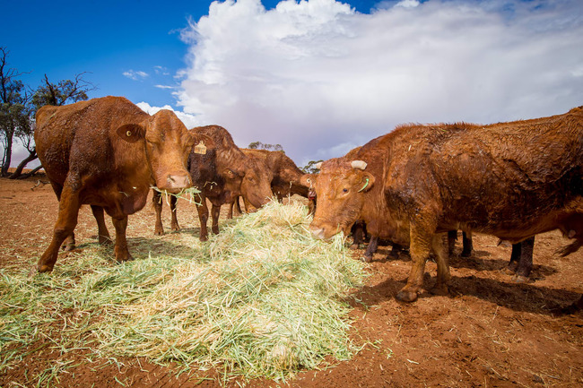Methane move a tax threat