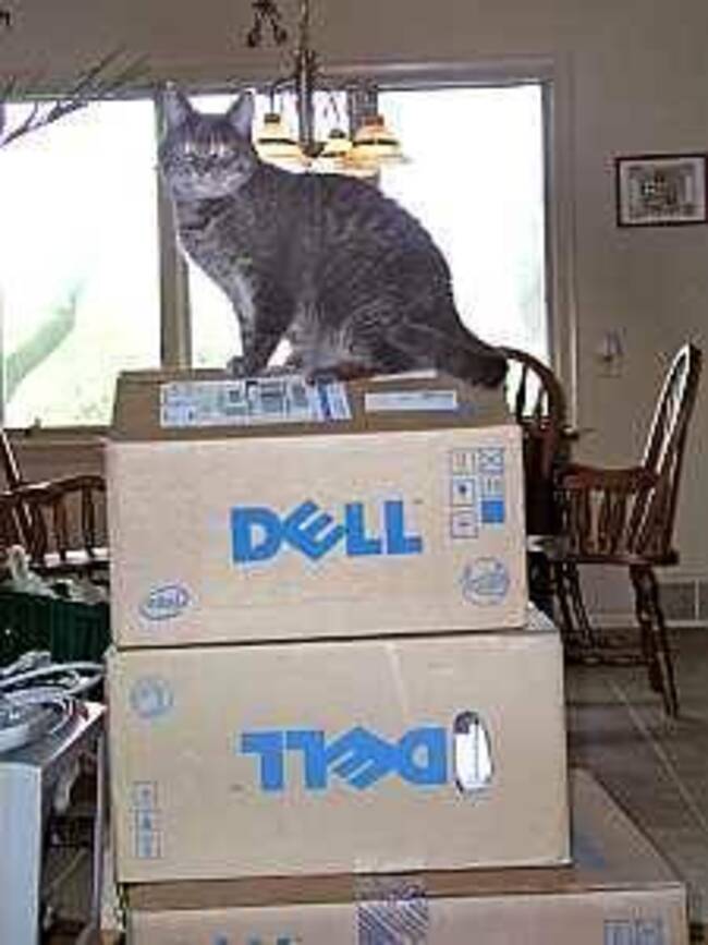 Ancient update driver endangers hundreds of millions of Dell computers